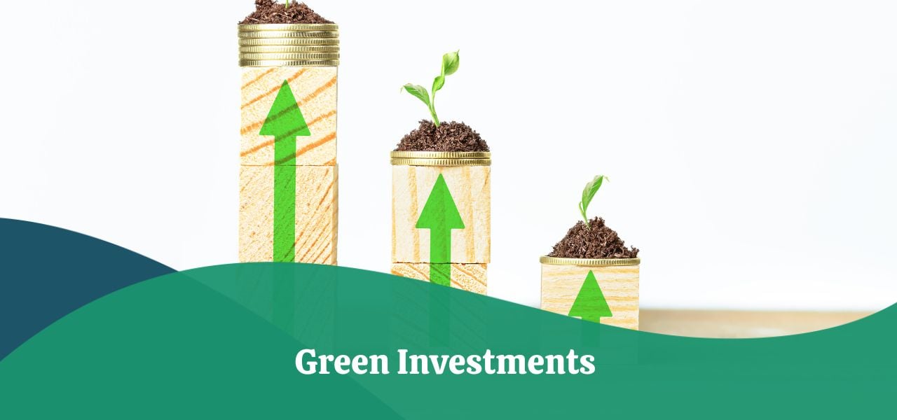Green Investments Definition, Types, Risks & Strategies